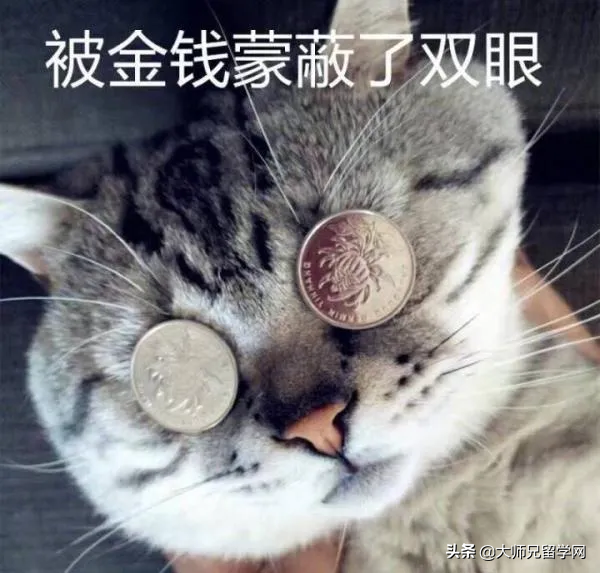 myr是什么貨幣(貨幣是什么)-添財網