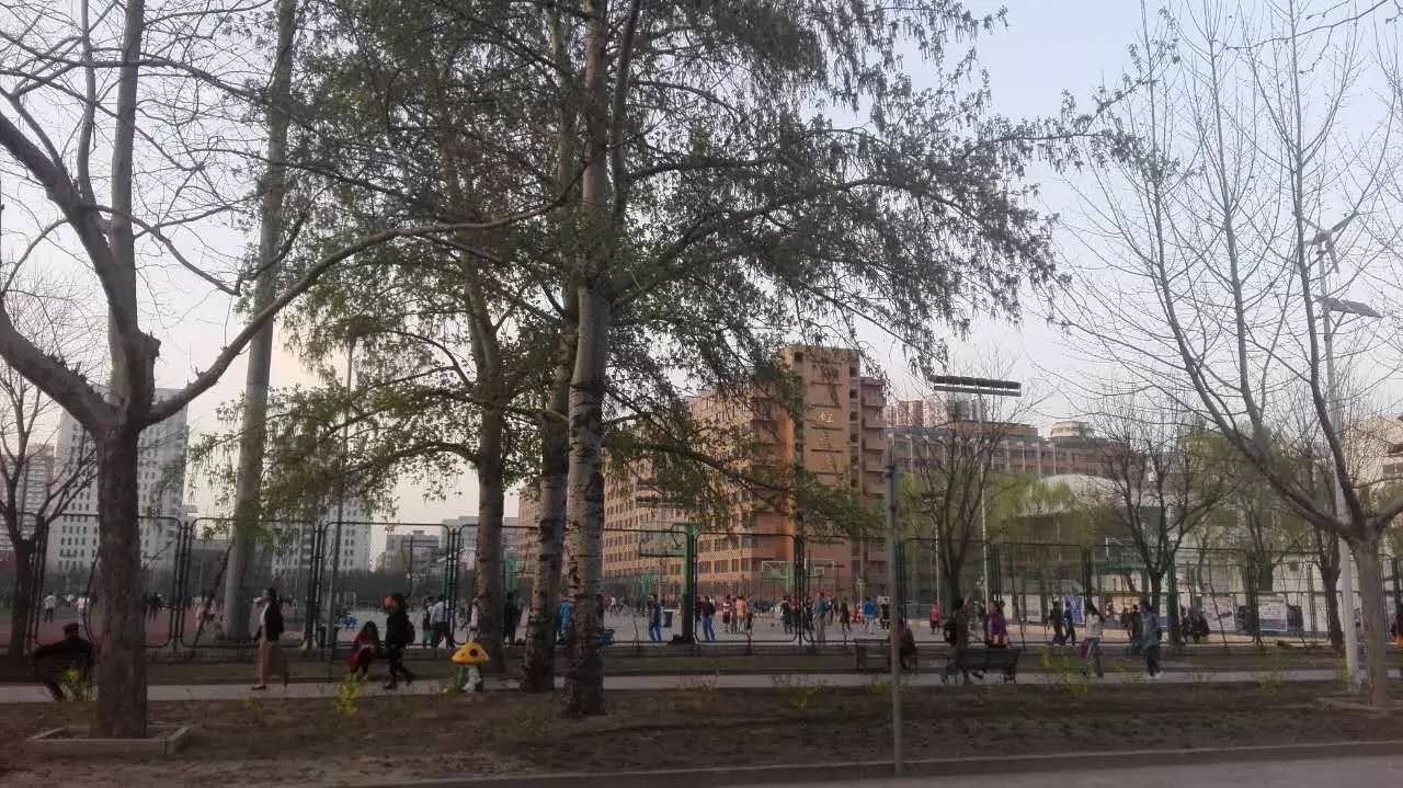 e卡是什么(e卡是什么)-添財(cái)網(wǎng)