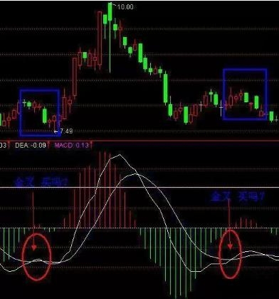 dif是什么意思(意思是地方的字)-添財網