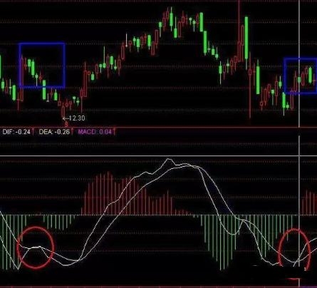 dif是什么意思(意思是地方的字)-添財網