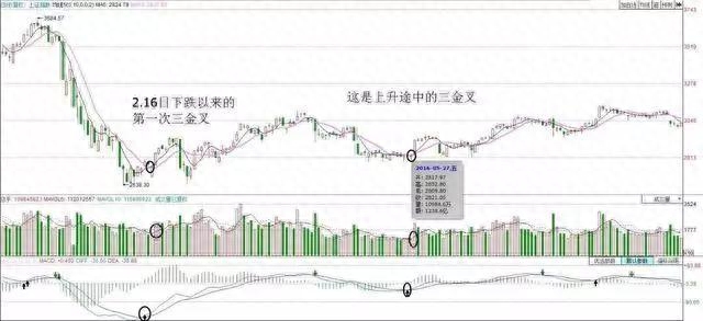 dif是什么意思(意思是地方的字)-添財網