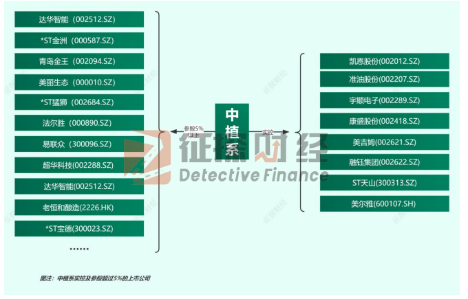 中植系是什么(中植系是什么)-添財網