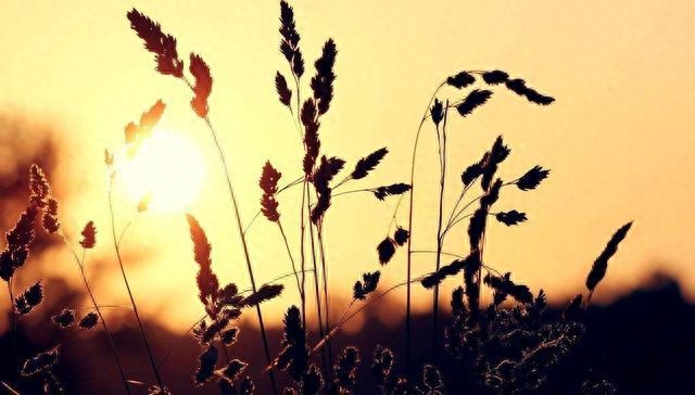 汽車抵押貸款哪個正規(guī)(汽車抵押貸款哪個正規(guī))-添財網(wǎng)