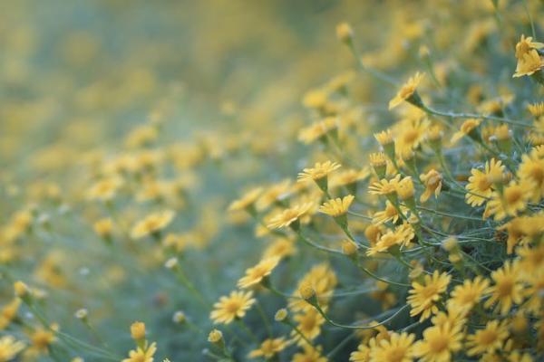 中融人壽(中融人壽投保)-添財網