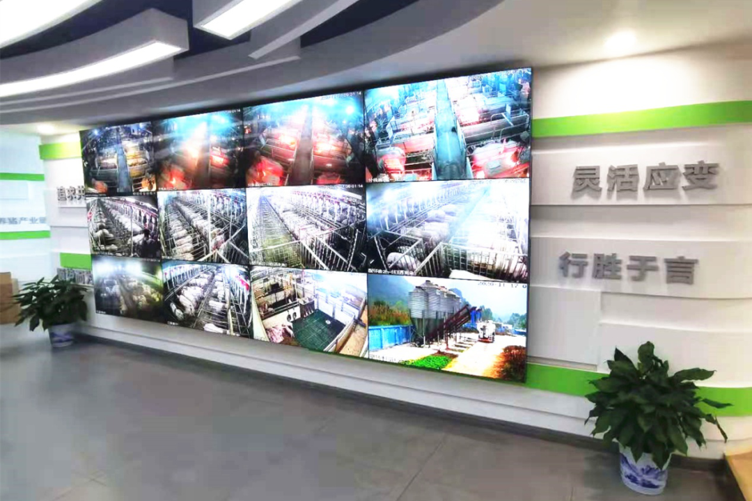 建設(shè)銀行汽車抵押貸款(建行車抵押貸多久到賬)-添財(cái)網(wǎng)