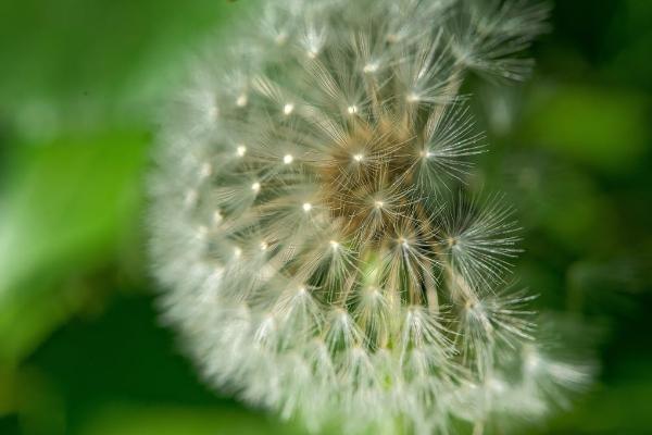 中路保險公司(中路保險公司報警電話)-添財網