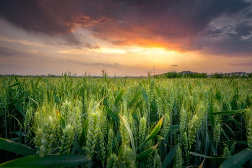 滯納金是什么意思(請問滯納金是什么意思)-添財網