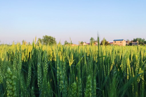 滯納金是什么意思(請問滯納金是什么意思)-添財網
