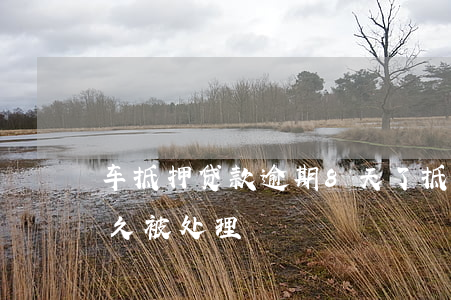 車貸逾期多久之內沒事(有逾期車貸)-添財網