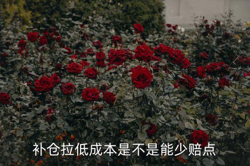 怎么補(bǔ)倉可以降低成本(補(bǔ)倉后成本降低可以賣吧)-添財(cái)網(wǎng)