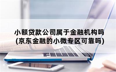 小額貸款公司是金融機構嗎(小額貸款公司是金融機構嗎)-添財網