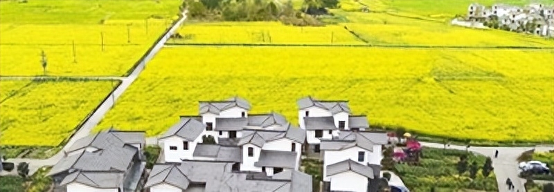 小貸公司貸款不還會怎么樣(貸上錢公司還在嗎)-添財網