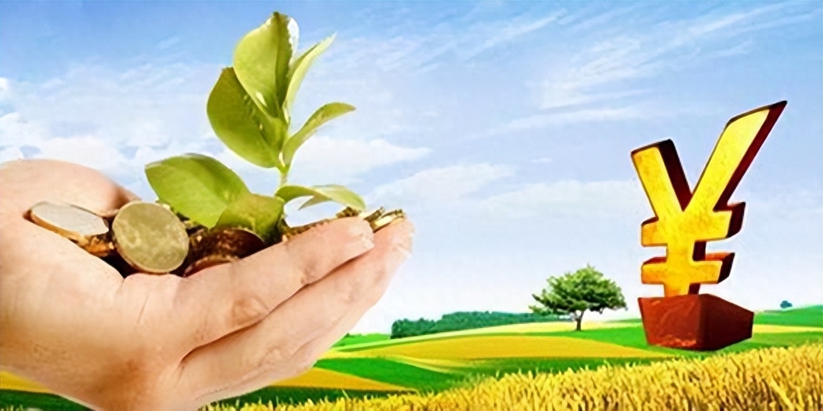 小貸公司貸款不還會怎么樣(貸上錢公司還在嗎)-添財網