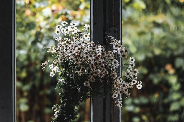 學平險多少錢一年(學平險保費)-添財網
