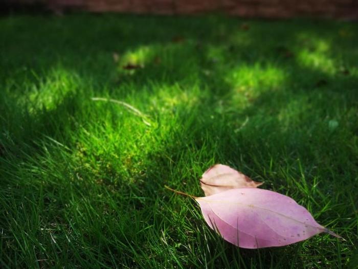 陽光保險是國企嗎(陽光保險國企)-添財網(wǎng)