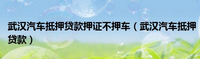 押證不押車的貸款公司(汽車押車貸款公司)-添財網