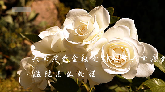 興業消費金融電話(興業消費金融電話人工客服)-添財網