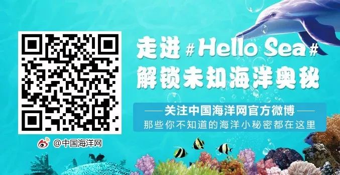 新華保險(xiǎn)唯一央企(新華保險(xiǎn)央企)-添財(cái)網(wǎng)