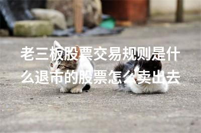 新三板交易規(guī)則(三板交易)-添財(cái)網(wǎng)