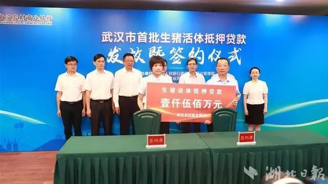 武漢汽車抵押貸款(武漢車抵貸)-添財網