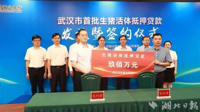 武漢汽車抵押貸款(武漢車抵貸)-添財網