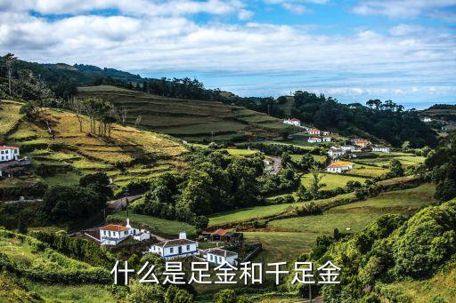 什么是足金(足金是幾個9)-添財網