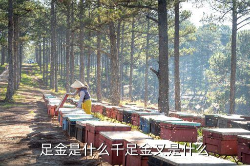 什么是足金(足金是幾個9)-添財網