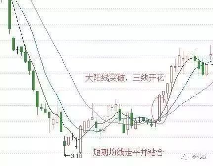 三線開花(三線開花形態圖解)-添財網