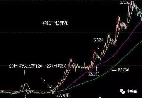 三線開花(三線開花形態圖解)-添財網