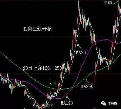 三線開花(三線開花形態圖解)-添財網