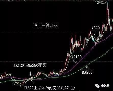 三線開花(三線開花形態圖解)-添財網