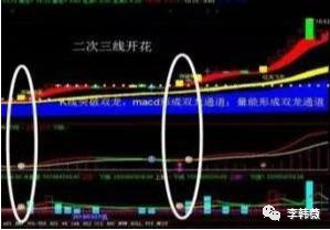 三線開花(三線開花形態圖解)-添財網