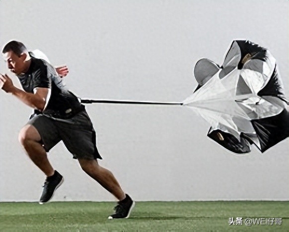 三桶油指什么(三桶油指什么)-添財網