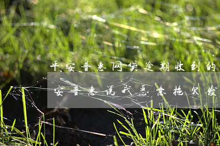 平安普惠是網貸嗎(網貸普惠平安是真的嗎)-添財網