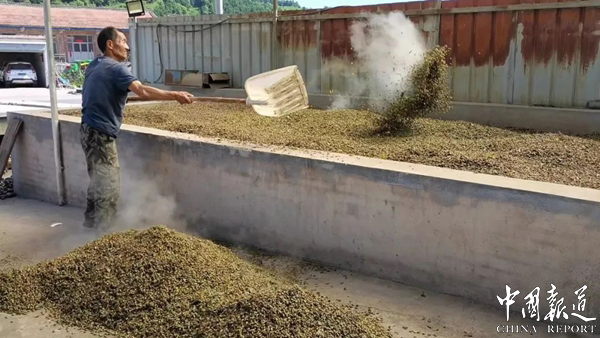 農商銀行e貸(悅e貸農商銀行)-添財網