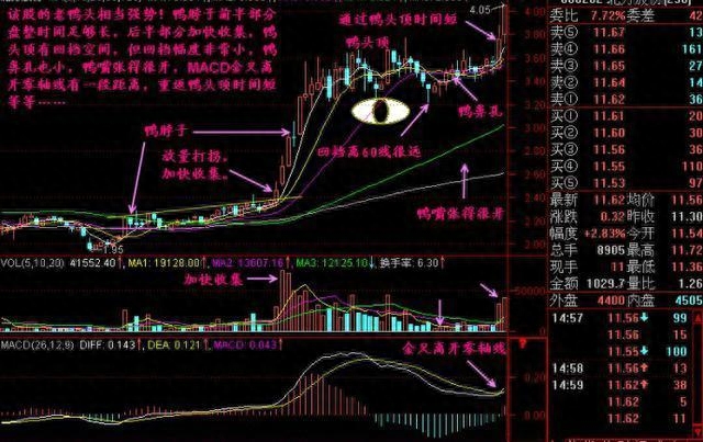 老鴨頭(老鴨頭的戰(zhàn)法和技巧)-添財網