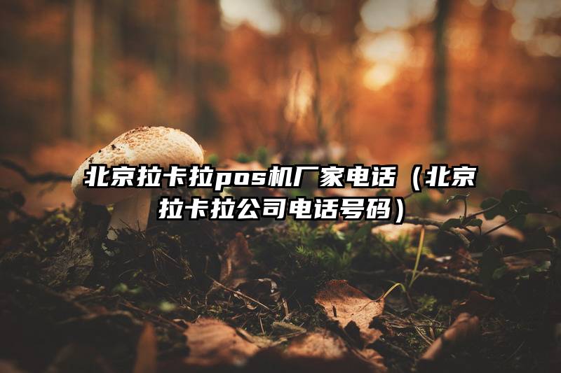 拉卡拉人工客服電話(拉卡拉有人工客服電話)-添財(cái)網(wǎng)