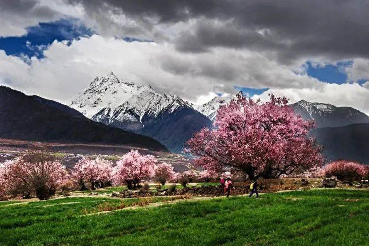 拉薩天團(拉薩天團真的可怕嗎)-添財網