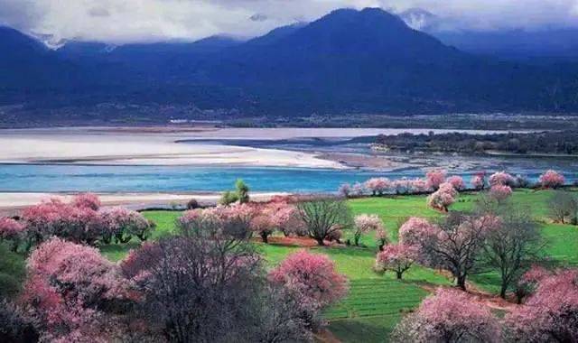 拉薩天團(拉薩天團真的可怕嗎)-添財網