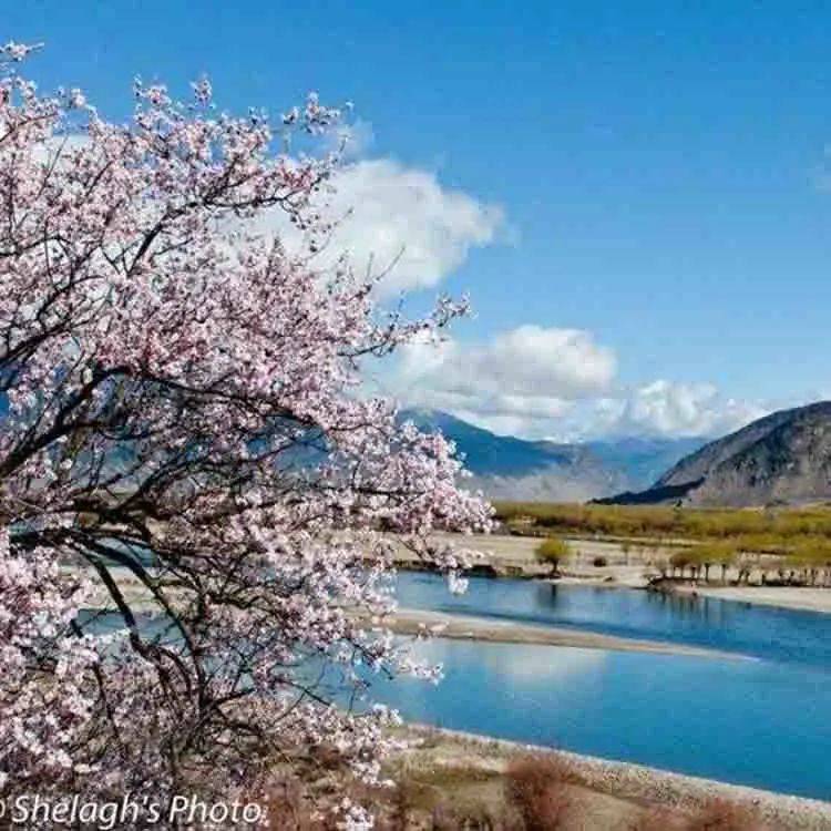 拉薩天團(拉薩天團真的可怕嗎)-添財網