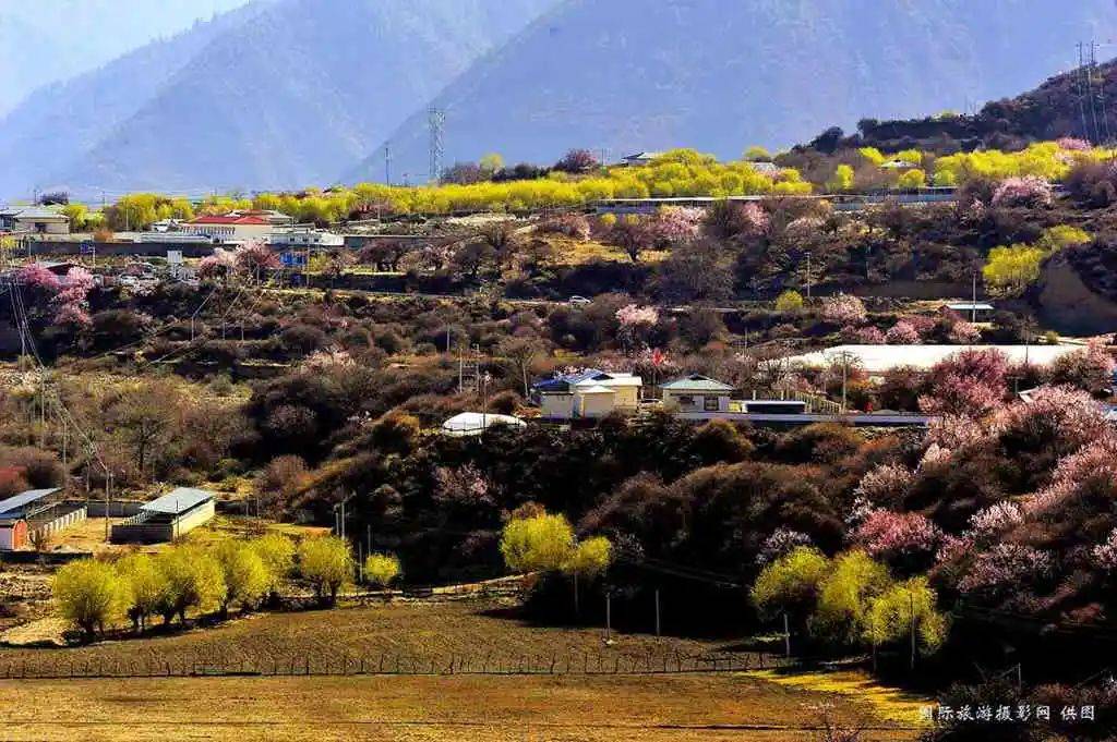 拉薩天團(拉薩天團真的可怕嗎)-添財網
