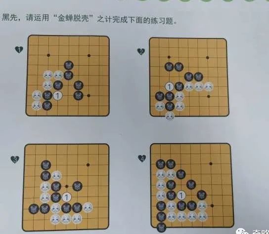 金蟬脫殼是什么意思(金蟬脫殼中脫的意思)-添財(cái)網(wǎng)