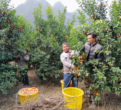 建行e信通(建行e信通)-添財網
