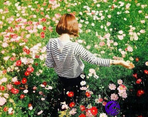 花戶(戶花使者歌曲)-添財(cái)網(wǎng)