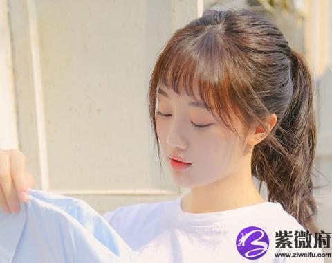 花戶(戶花使者歌曲)-添財(cái)網(wǎng)