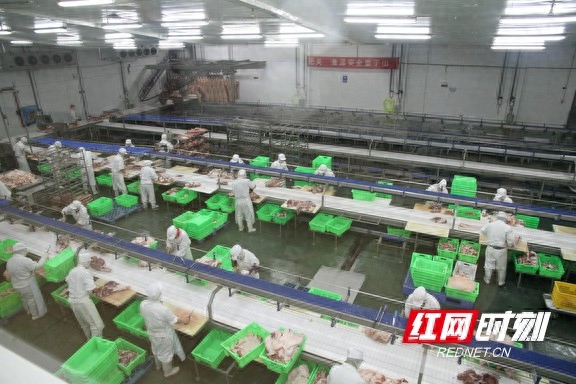 湖南省農(nóng)村信用社官網(wǎng)(湖南省農(nóng)村信用社官網(wǎng)登錄)-添財(cái)網(wǎng)