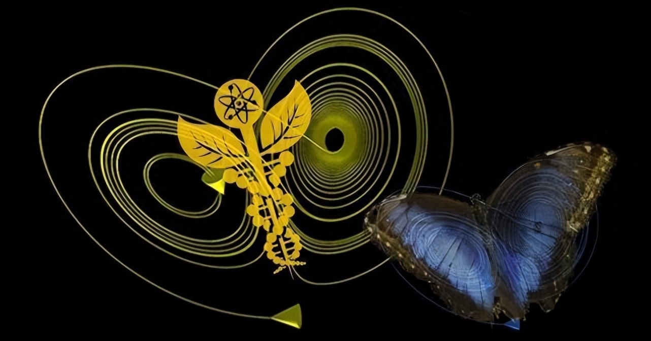 蝴蝶效應(yīng)是什么(蝴蝶效應(yīng)是真實(shí)的嗎)-添財(cái)網(wǎng)