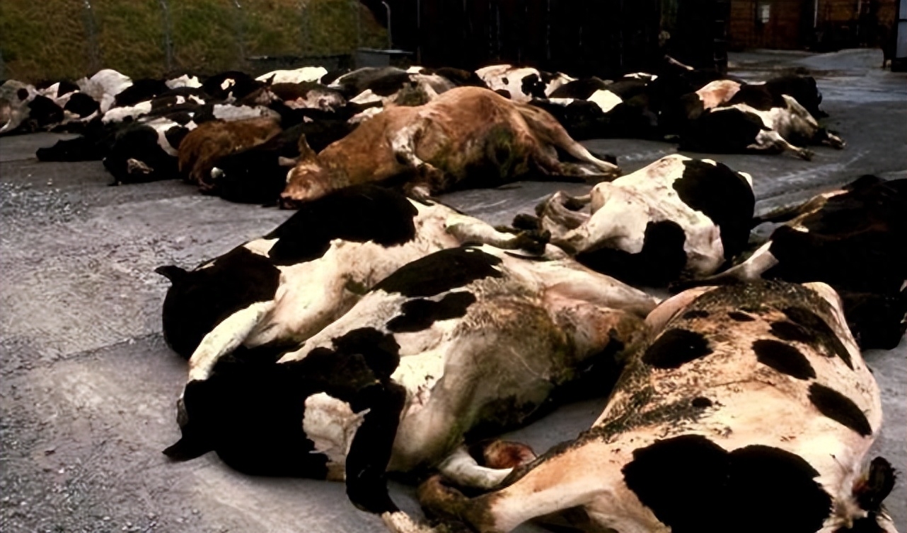 蝴蝶效應(yīng)是什么(蝴蝶效應(yīng)是真實(shí)的嗎)-添財(cái)網(wǎng)