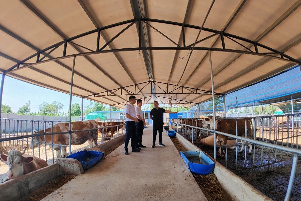 衡水銀行官網(衡水銀行網站)-添財網