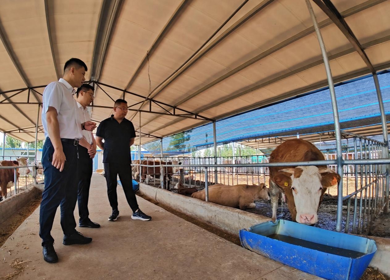 衡水銀行官網(衡水銀行網站)-添財網